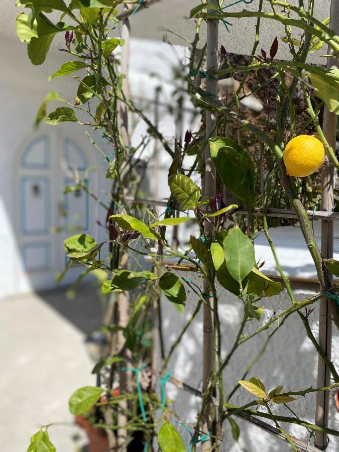 Villa Marecoco Forio di Ischia Eksteriør billede