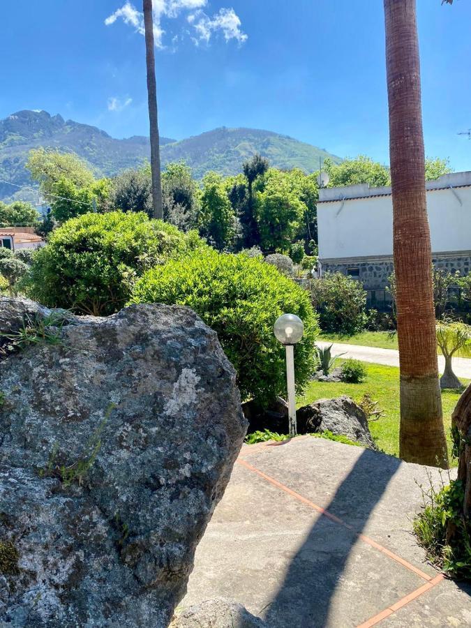 Villa Marecoco Forio di Ischia Eksteriør billede