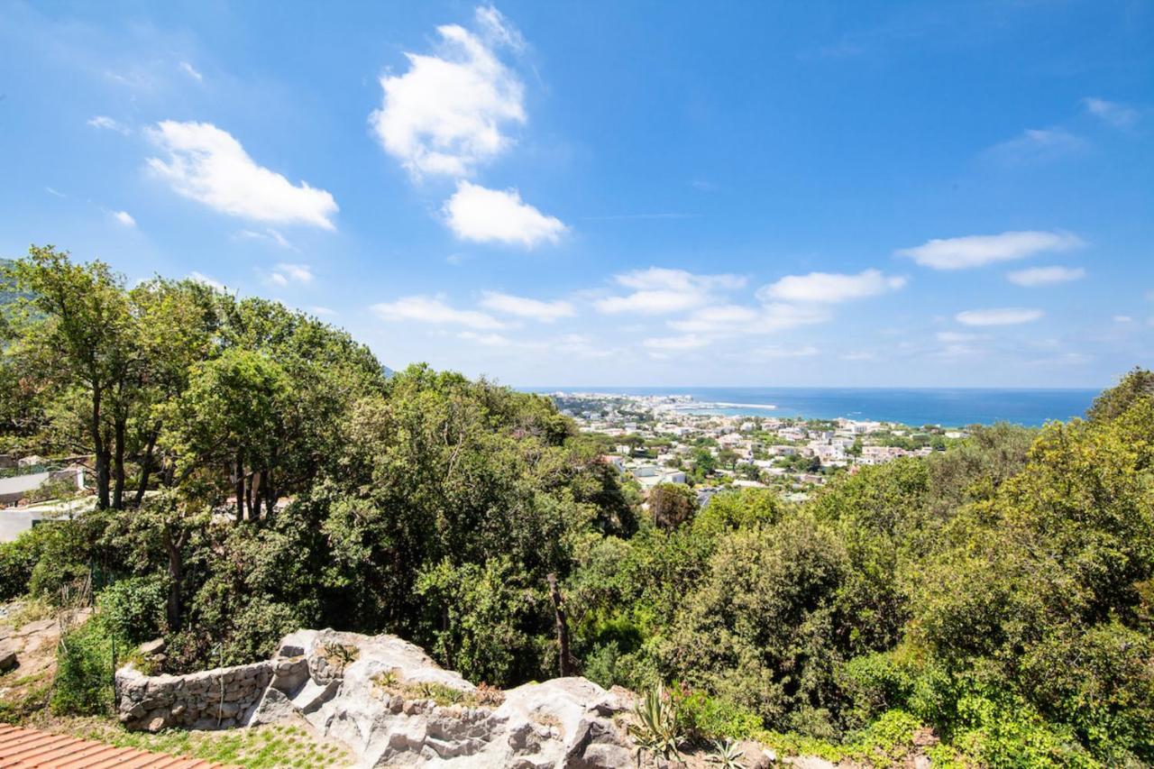 Villa Marecoco Forio di Ischia Eksteriør billede